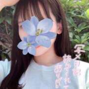 ヒメ日記 2025/07/09 20:02 投稿 早乙女　なぎ プルプル京都性感エステ　はんなり