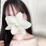 ヒメ日記 2025/09/05 18:04 投稿 早乙女　なぎ プルプル京都性感エステ　はんなり