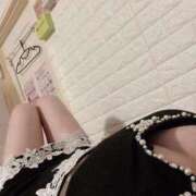 ヒメ日記 2025/08/10 09:30 投稿 ちあき 石庭