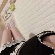 ヒメ日記 2025/08/14 09:58 投稿 ちあき 石庭