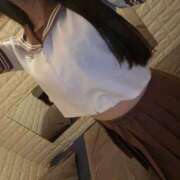 ヒメ日記 2025/09/19 21:09 投稿 ちあき 石庭