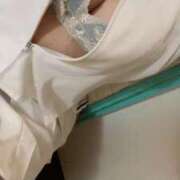 ヒメ日記 2025/11/28 15:22 投稿 ちあき 石庭