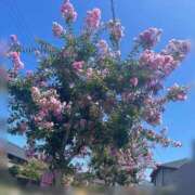 ヒメ日記 2025/08/31 16:06 投稿 みずき 清楚系美女専門店PLATINUMプラチナム四日市店