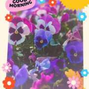 ヒメ日記 2025/02/09 11:48 投稿 麻梨花(まりか) 相模原人妻城