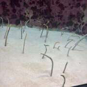 ヒメ日記 2025/10/09 11:01 投稿 らみ Number Five 品川（シンデレラグループ）