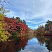 らみ ? Number Five 品川（シンデレラグループ）