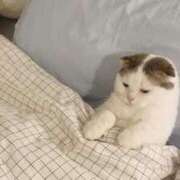 るり ばたんきゅー( p_q)💦 チェックイン素人専門大人女子