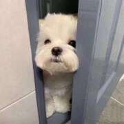 るり 明日はなんと… チェックイン素人専門大人女子