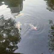 ヒメ日記 2025/07/19 21:25 投稿 りあ 東京人妻セレブリティ（ユメオト）