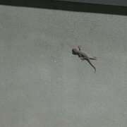 ヒメ日記 2025/07/23 22:26 投稿 りあ 東京人妻セレブリティ（ユメオト）