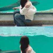 ヒメ日記 2026/02/11 13:27 投稿 らん【フェラ＆語学が堪能美女】 STELLA TOKYO－ステラトウキョウ－