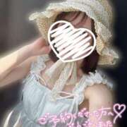 ヒメ日記 2025/07/02 18:58 投稿 もも The White