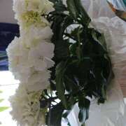 ありさ 完熟ばなな川崎店 ありさです? 完熟ばなな 横浜