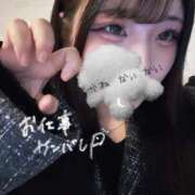 RIN（りん） お久しぶりᐡ т · т ᐡ メルビス＆アトリアーナ