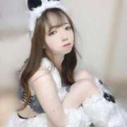 ヒメ日記 2025/11/22 15:25 投稿 小日向 ゆり アリス女学院 日本橋校