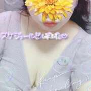 サナギ【FG系列】 次回出勤 デリぽちゃin松戸（FG系列）