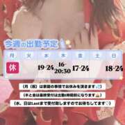 ヒメ日記 2025/07/20 09:00 投稿 とわ 夜這い本舗