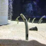 ヒメ日記 2025/07/12 19:56 投稿 はる 太田人妻城