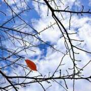 ヒメ日記 2026/01/08 16:30 投稿 河合ゆずき 越谷デリヘル エトワ