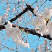 ヒメ日記 2026/03/30 15:11 投稿 河合ゆずき 越谷デリヘル エトワ