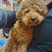 ヒメ日記 2025/07/03 10:20 投稿 みどり ふぞろいの人妻たち