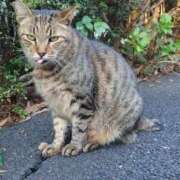 ヒメ日記 2025/08/03 10:10 投稿 みどり ふぞろいの人妻たち