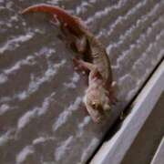 ヒメ日記 2025/08/03 19:40 投稿 みどり ふぞろいの人妻たち