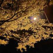 ヒメ日記 2025/08/08 12:10 投稿 みどり ふぞろいの人妻たち