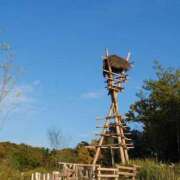 ヒメ日記 2025/08/09 09:14 投稿 みどり ふぞろいの人妻たち