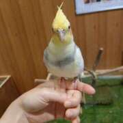 ヒメ日記 2025/08/16 20:50 投稿 みどり ふぞろいの人妻たち