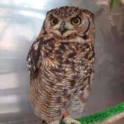 ヒメ日記 2025/09/01 08:20 投稿 みどり ふぞろいの人妻たち