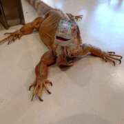 ヒメ日記 2025/09/09 15:30 投稿 みどり ふぞろいの人妻たち