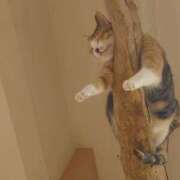 ヒメ日記 2025/09/20 14:30 投稿 みどり ふぞろいの人妻たち