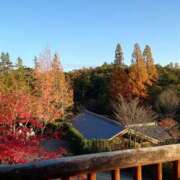 ヒメ日記 2025/09/23 17:20 投稿 みどり ふぞろいの人妻たち