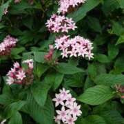 ヒメ日記 2025/10/26 11:05 投稿 みどり ふぞろいの人妻たち