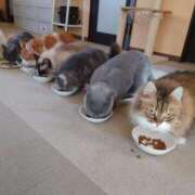 ヒメ日記 2025/10/28 12:20 投稿 みどり ふぞろいの人妻たち