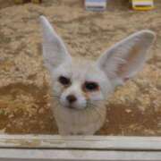 ヒメ日記 2025/11/16 10:00 投稿 みどり ふぞろいの人妻たち