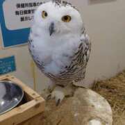 ヒメ日記 2025/11/16 19:40 投稿 みどり ふぞろいの人妻たち