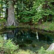 ヒメ日記 2025/12/09 17:10 投稿 みどり ふぞろいの人妻たち