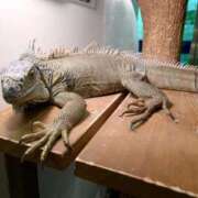 ヒメ日記 2025/12/17 09:10 投稿 みどり ふぞろいの人妻たち