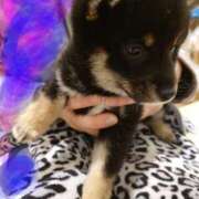 ヒメ日記 2026/01/21 11:30 投稿 みどり ふぞろいの人妻たち