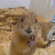 ヒメ日記 2026/02/07 10:00 投稿 みどり ふぞろいの人妻たち