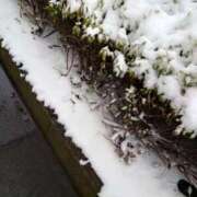 ヒメ日記 2026/02/08 12:10 投稿 みどり ふぞろいの人妻たち