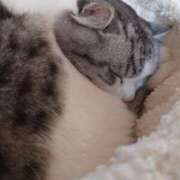 ヒメ日記 2026/02/08 15:52 投稿 みどり ふぞろいの人妻たち