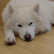 ヒメ日記 2026/02/13 00:30 投稿 みどり ふぞろいの人妻たち