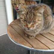 ヒメ日記 2026/02/13 12:20 投稿 みどり ふぞろいの人妻たち