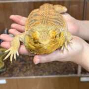 ヒメ日記 2026/02/18 11:50 投稿 みどり ふぞろいの人妻たち