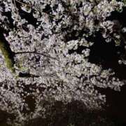 ヒメ日記 2026/02/22 23:10 投稿 みどり ふぞろいの人妻たち