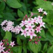 ヒメ日記 2026/03/02 08:20 投稿 みどり ふぞろいの人妻たち