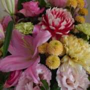 ヒメ日記 2026/03/03 15:00 投稿 みどり ふぞろいの人妻たち